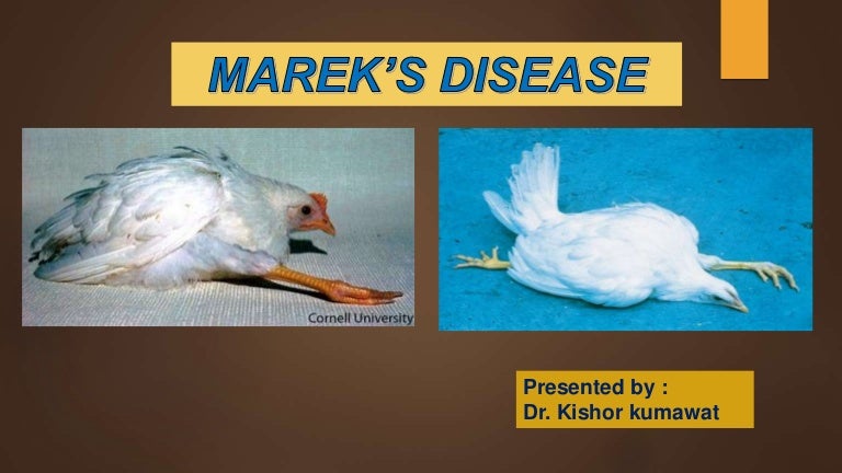 Marek's disease in poultry
