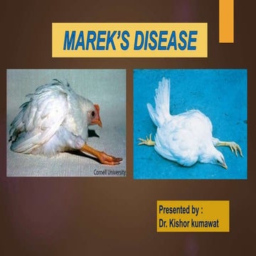 Marek's disease in poultry ...