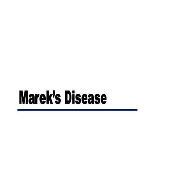 Marek's Disease.pptx