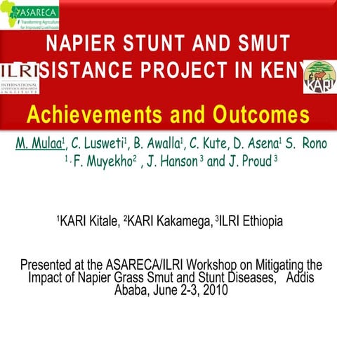 Napier Stunt and Smut Resistance Project in Kenya: achievements and outcomes