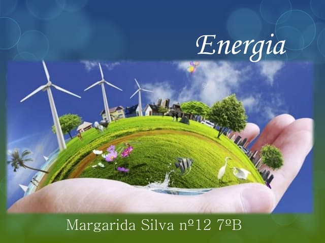 Margarida silva energia