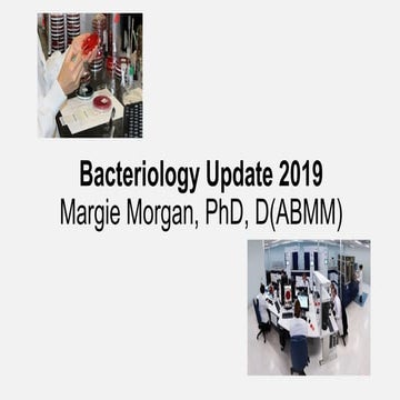 Bacteriology Update 2019