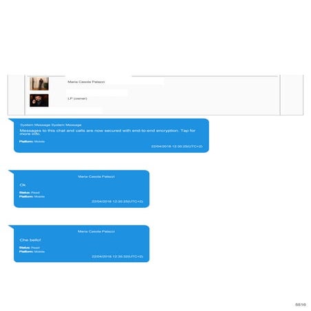 Le chat tra Luca Palamara e Maria Casola Palazzi