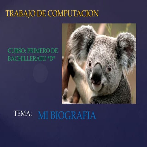 Maria chimborazo  primero d