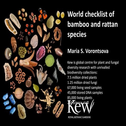 World checklist of bamboo and rattan species 