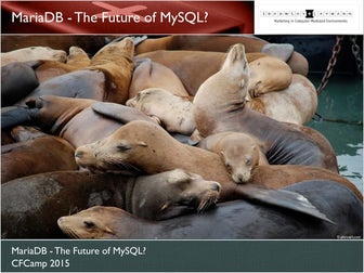 MariaDB - The Future of MySQL?