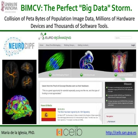 BIMCV: The Perfect "Big Data" Storm. 