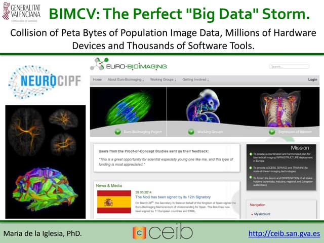 BIMCV: The Perfect "Big Data" Storm. 