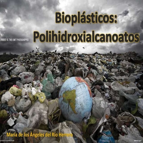 Mariadelosangelesdelrioherrero_polihidroxialcanoatos