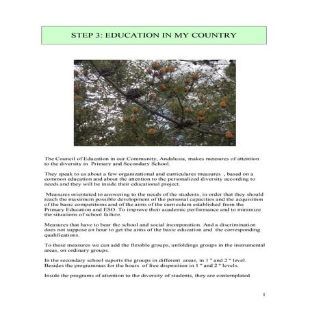 Maria Dolores Martin Sanchez: Education in my country