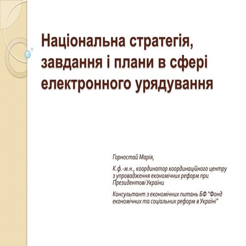 Maria Gornostay: National Level E-gov Policy