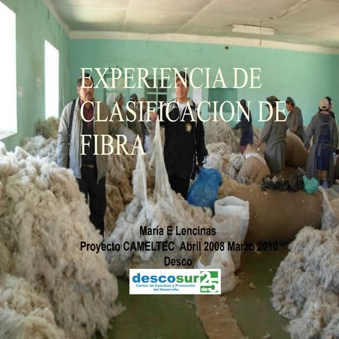 Experiencia de clasificación de fibra 