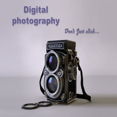 composition in Photography