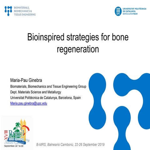 Bioinspired strategies for bone regeneration. | PDF