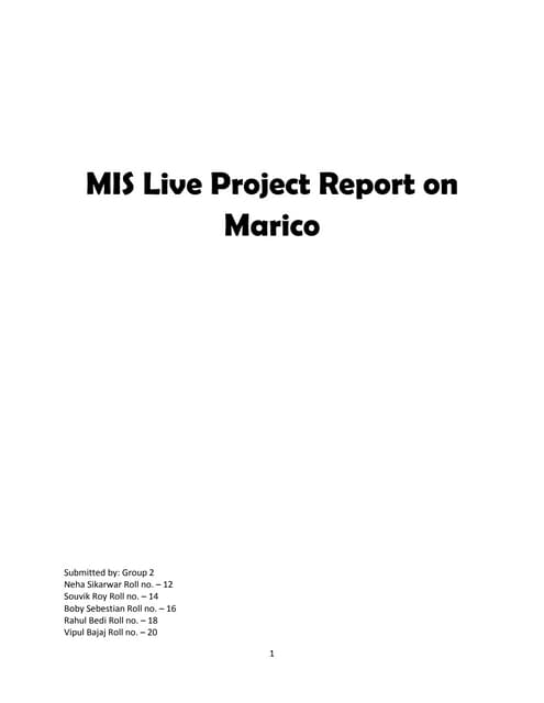 Marico IT structure