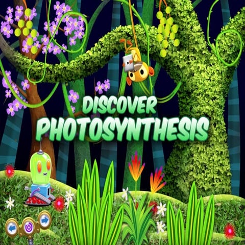 Photosynthesis for Kids
