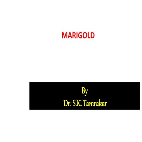 Marigold