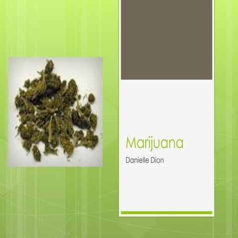 Marijuana power point presentation  dion