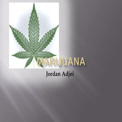 Marijuana Presentation 
