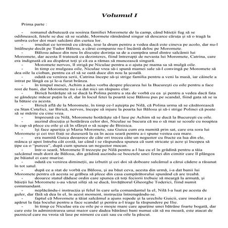 Marin preda---morometii-(rezumat-volumul-1)