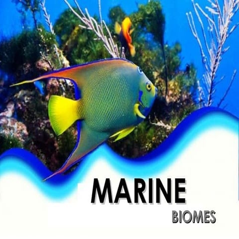 Marine Biomes