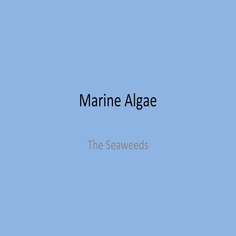 Marine algae
