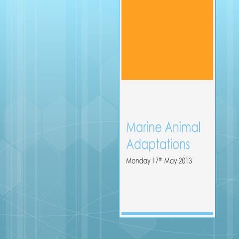 Marine animals