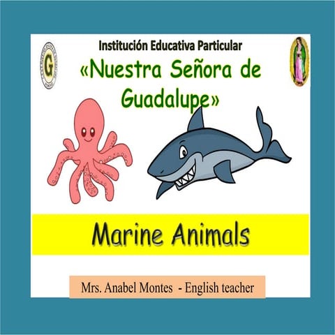 Marine animals