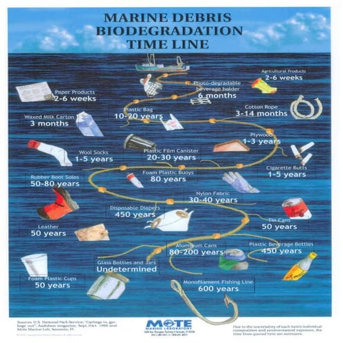 Marine biodegradation timeline | PDF