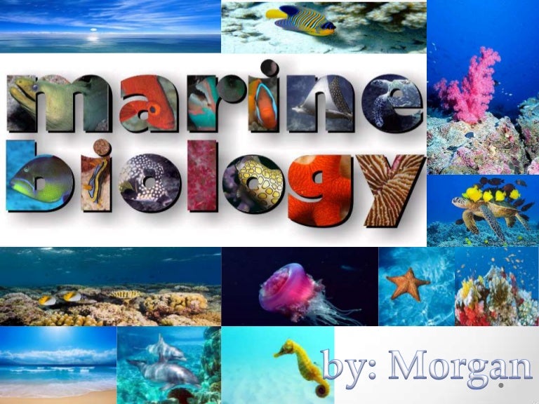 Marine biology