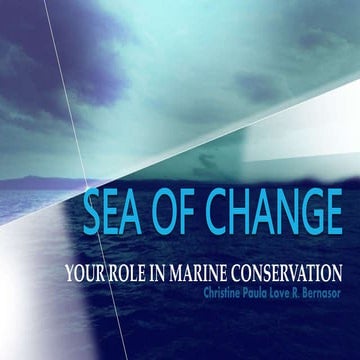 Sea of Change: Your Role in Marine Conservation