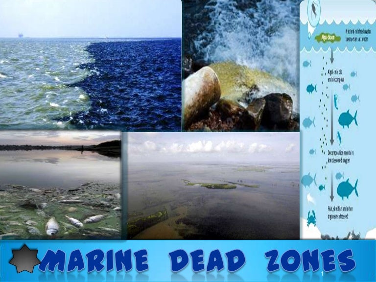 Marine dead zones