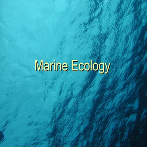 Marine Ecosystems