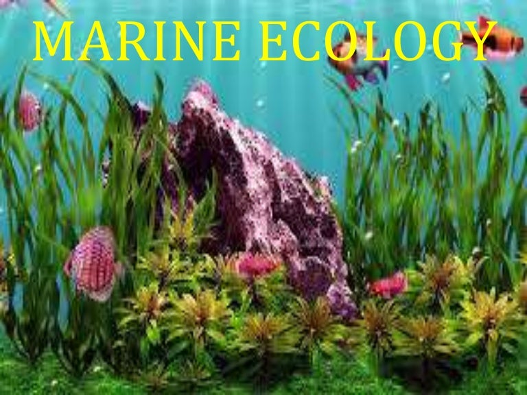 Marine ecology