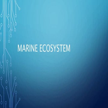 Marine ecosystem