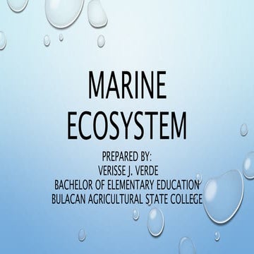 Marine ecosystem