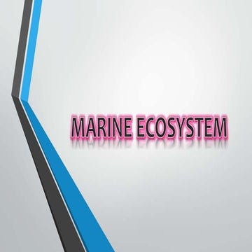Marine ecosystem