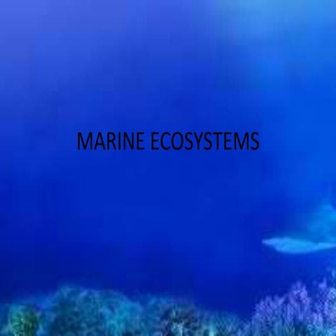 Marine ecosystem