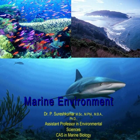 Marine environment 08.01.2019