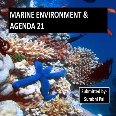 Marine environment & agenda 21