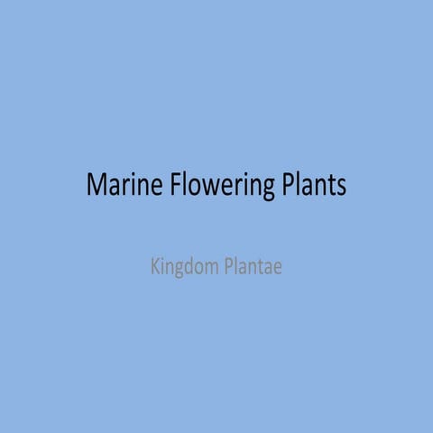 Marine flowering plants