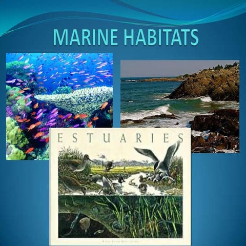 Marine habitats 