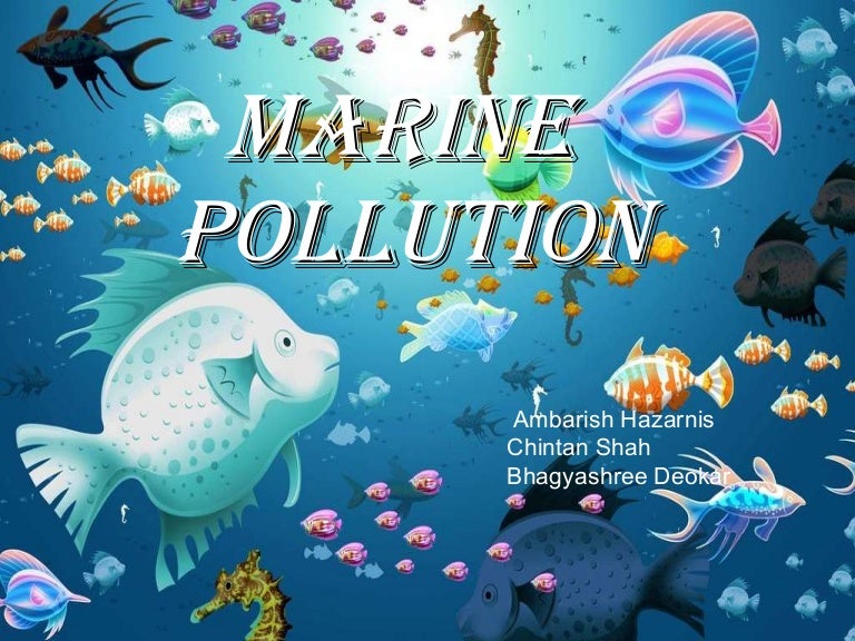 case study on marine pollution in india ppt