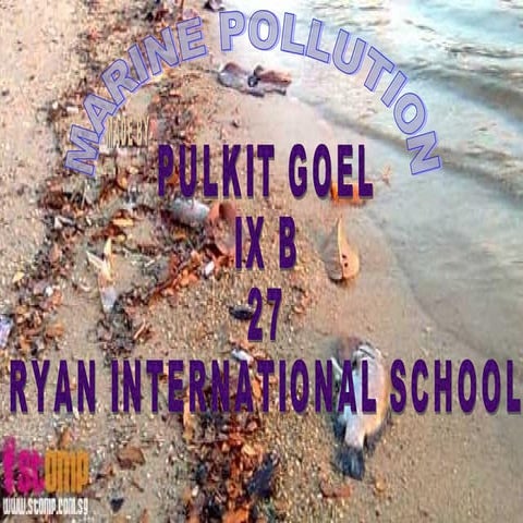 Marine pollution