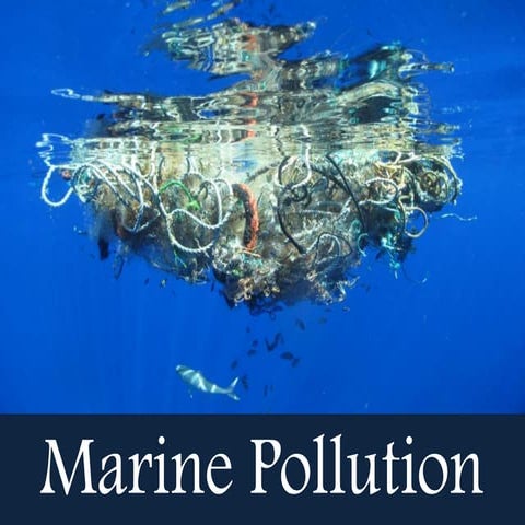 Marine pollution