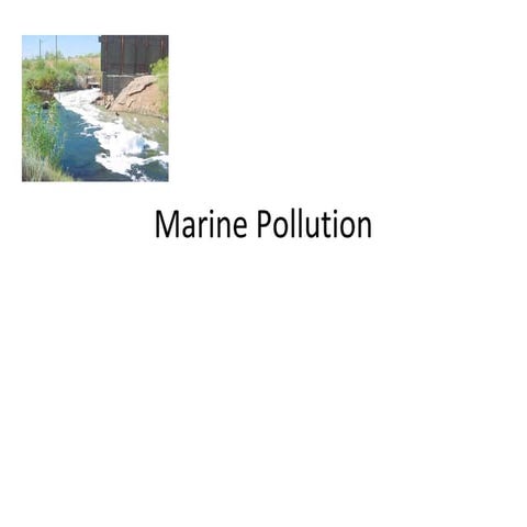 Marine pollution | PPT