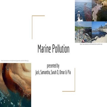 Marine Pollution