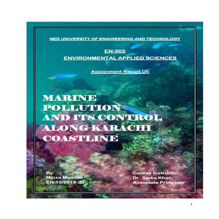 Marine pollution and its control along Karachi coastline | PDF