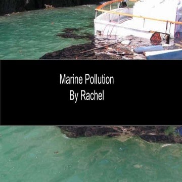 Marine pollution rachel