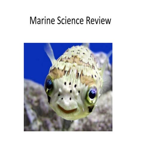 Marine review final